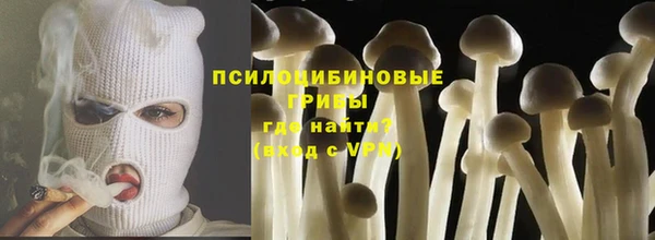 PSILOCYBIN Бронницы